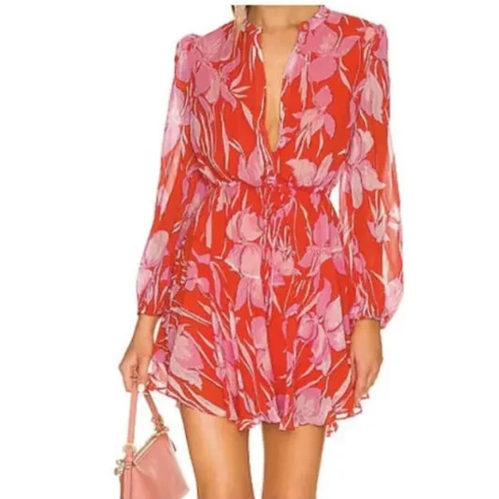 Milly Floral Red and Pink Dress